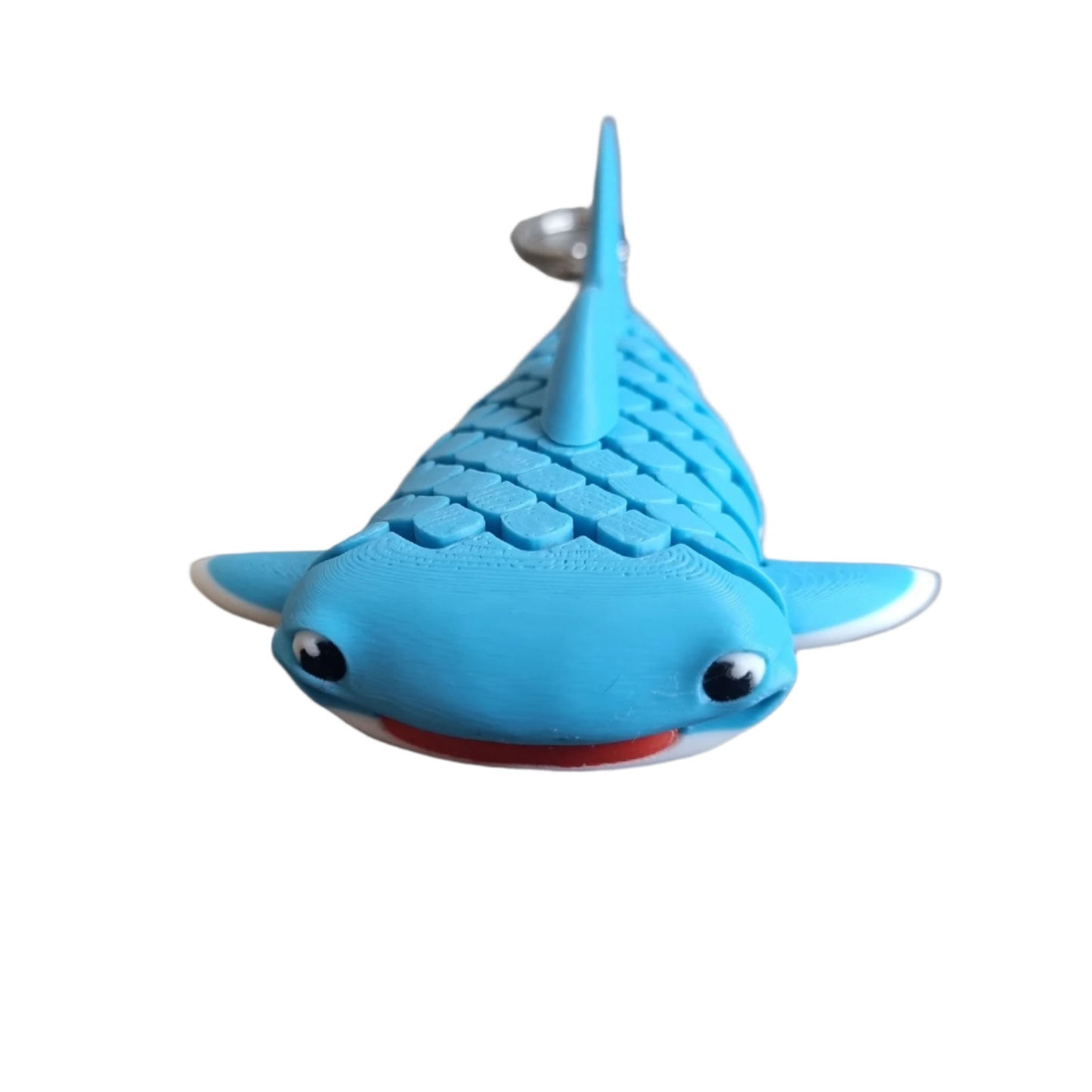 Flexi Fin front view