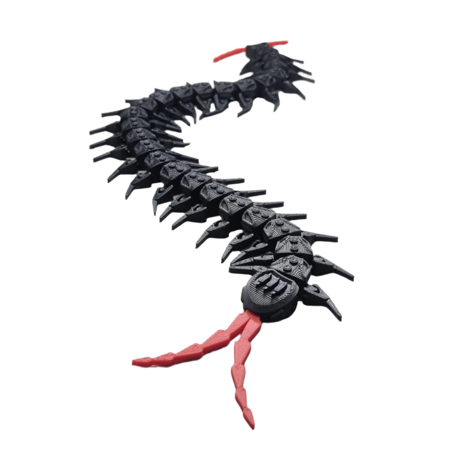Robo centipede, front view, clear