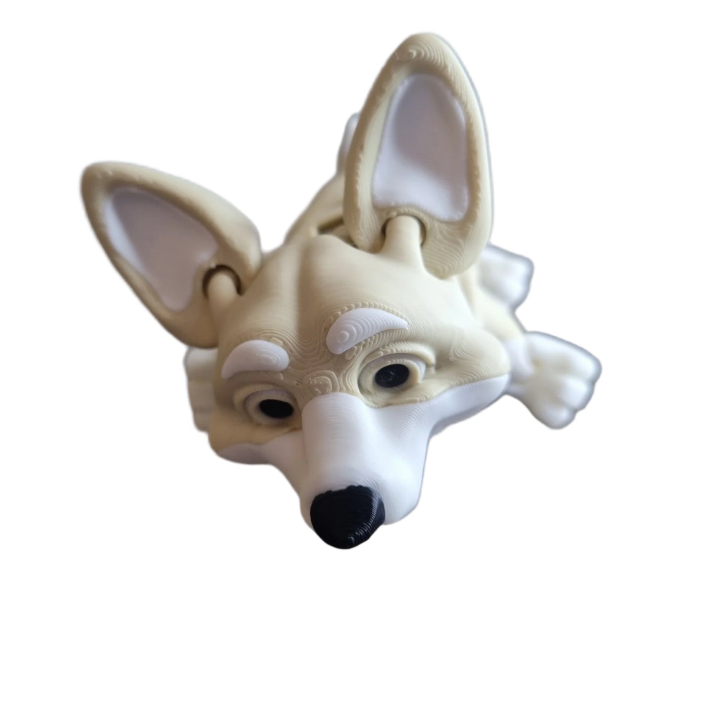 Rufus the Corgi Front view