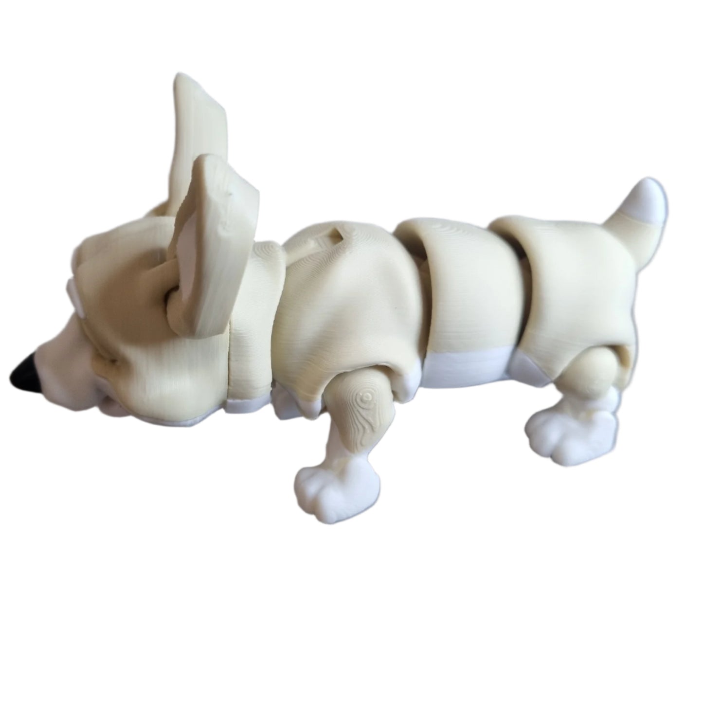 Rufus the Corgi Left side view