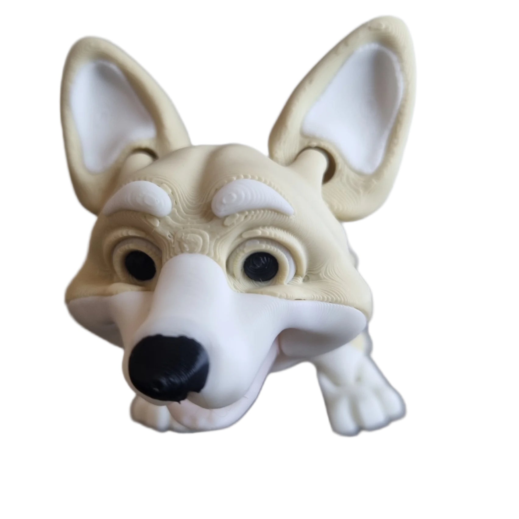 Rufus the Corgi head view