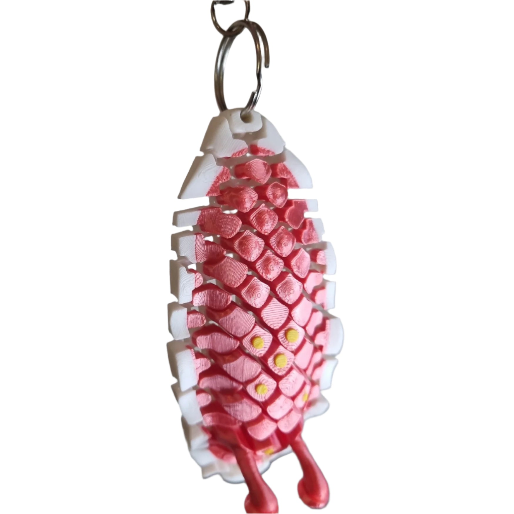 Shimmer the sea slug hanging top view