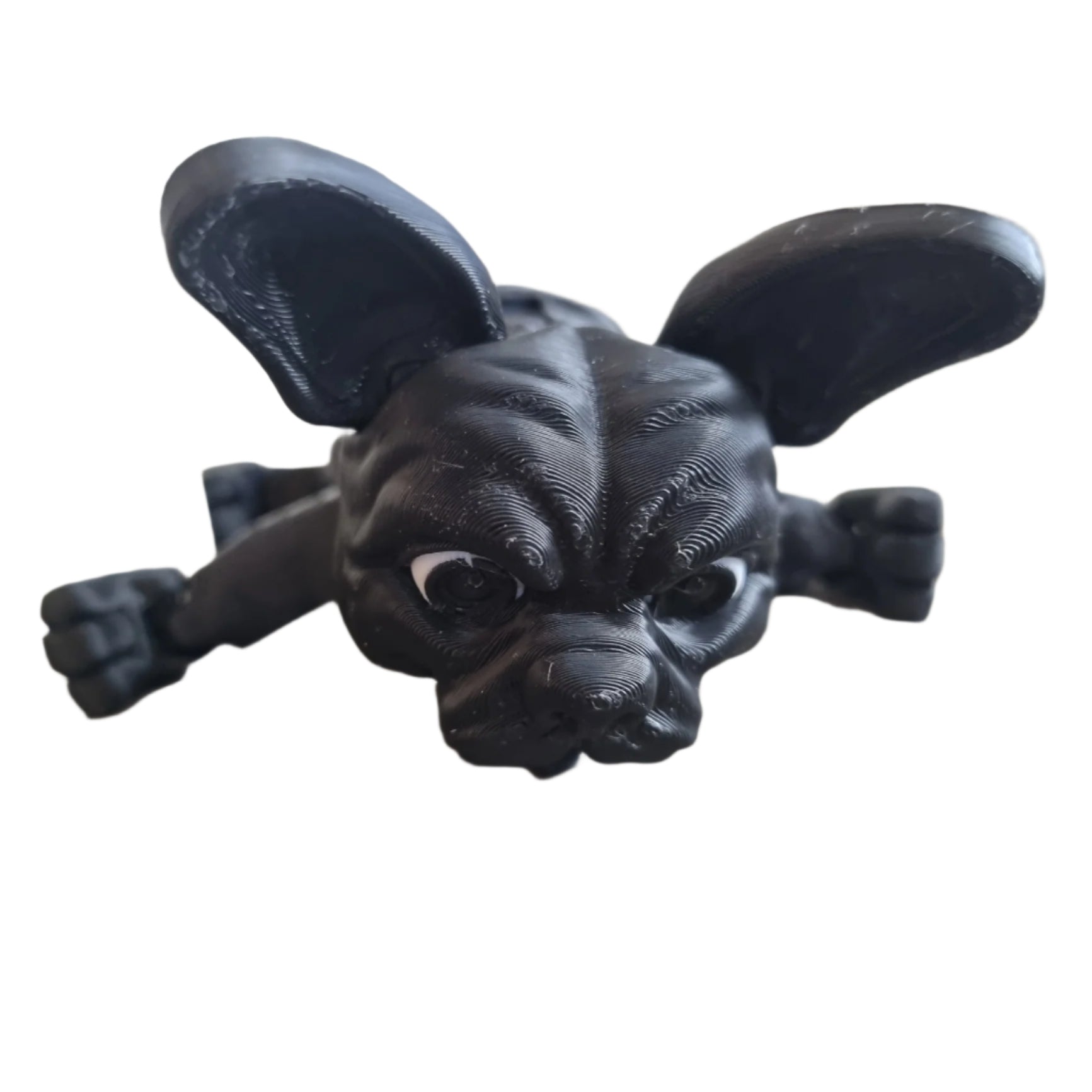 Stella the French Bulldog front view