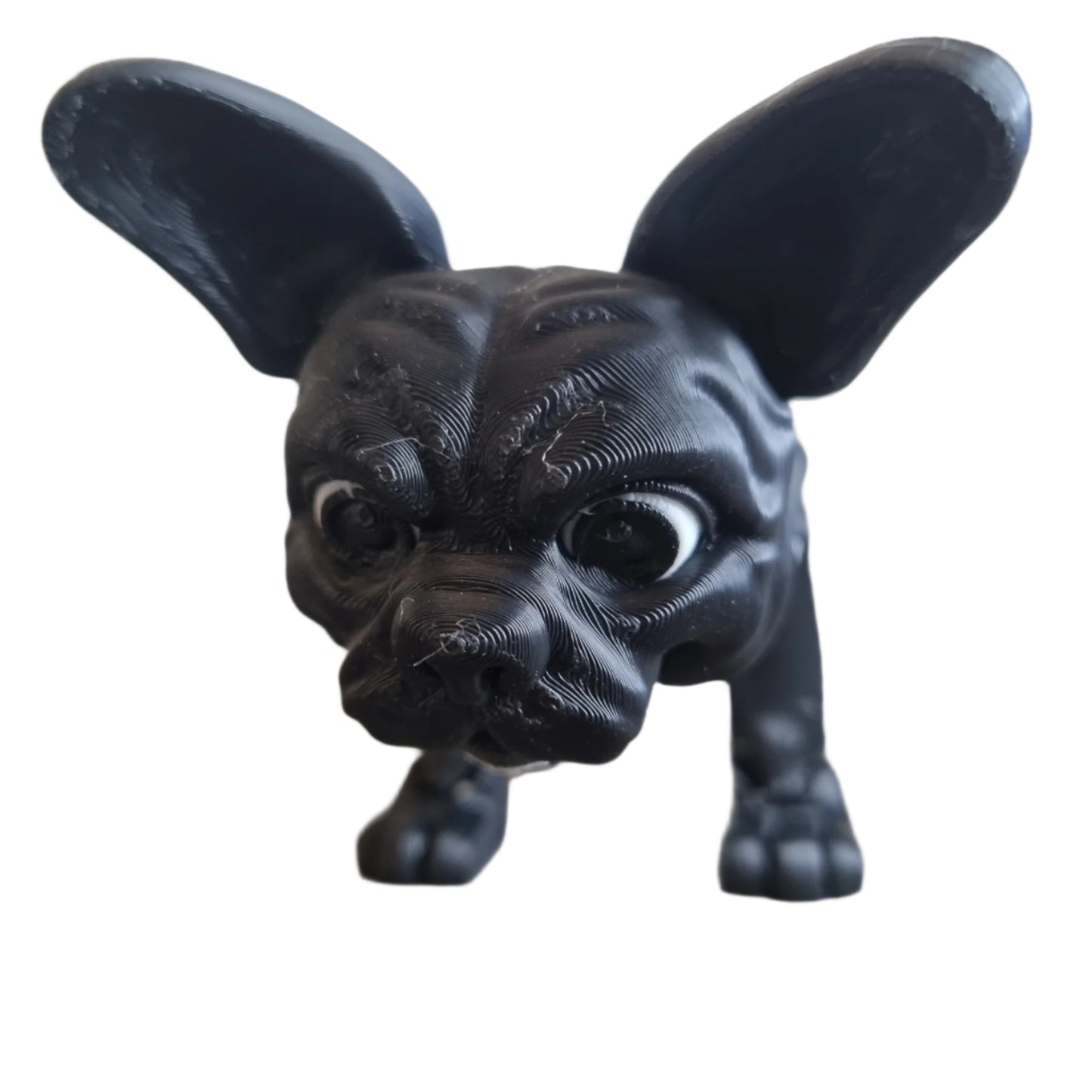 Stella the French Bulldog head view