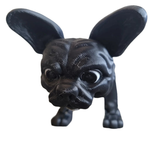 Stella the French Bulldog head view