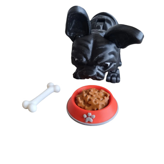 Stella the French Bulldog with accessories