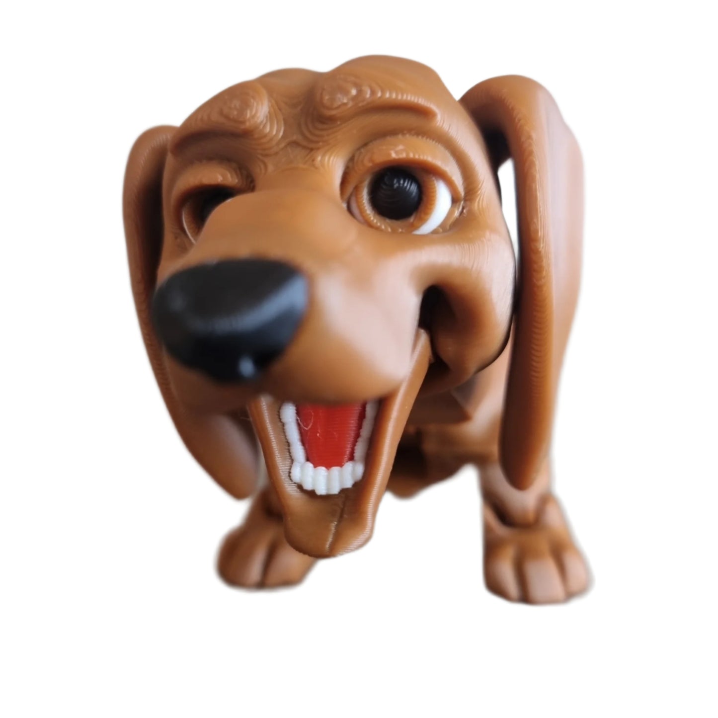 Winston the Dachshund head view