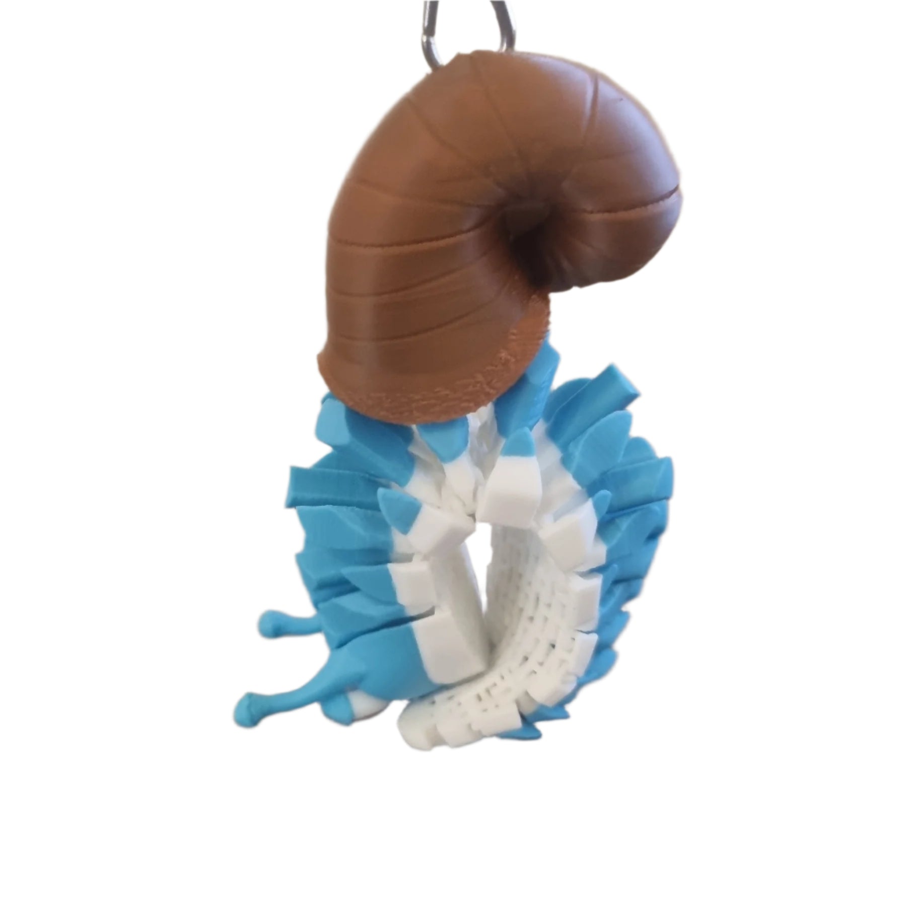 abigail the snail mesh mate front view curled
